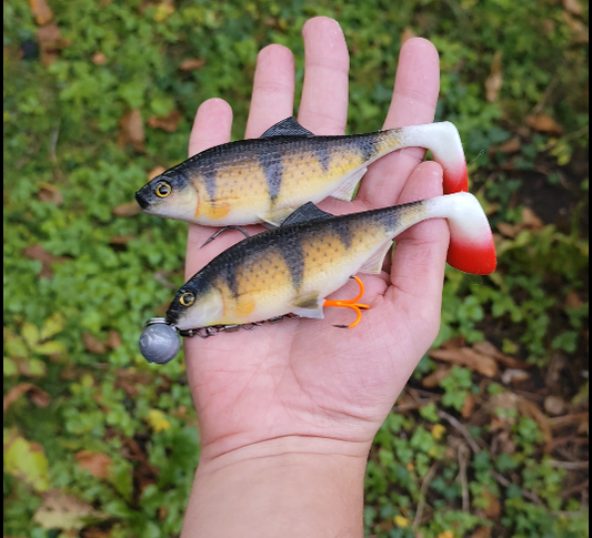 Real Perch