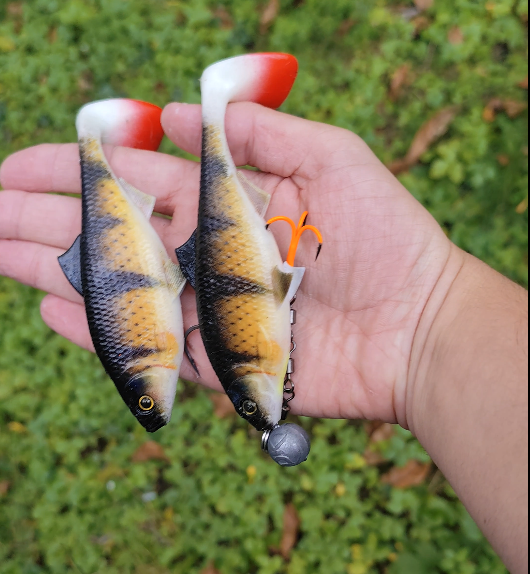 Real Perch